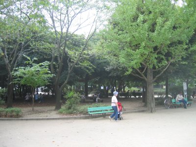 妙正寺公園